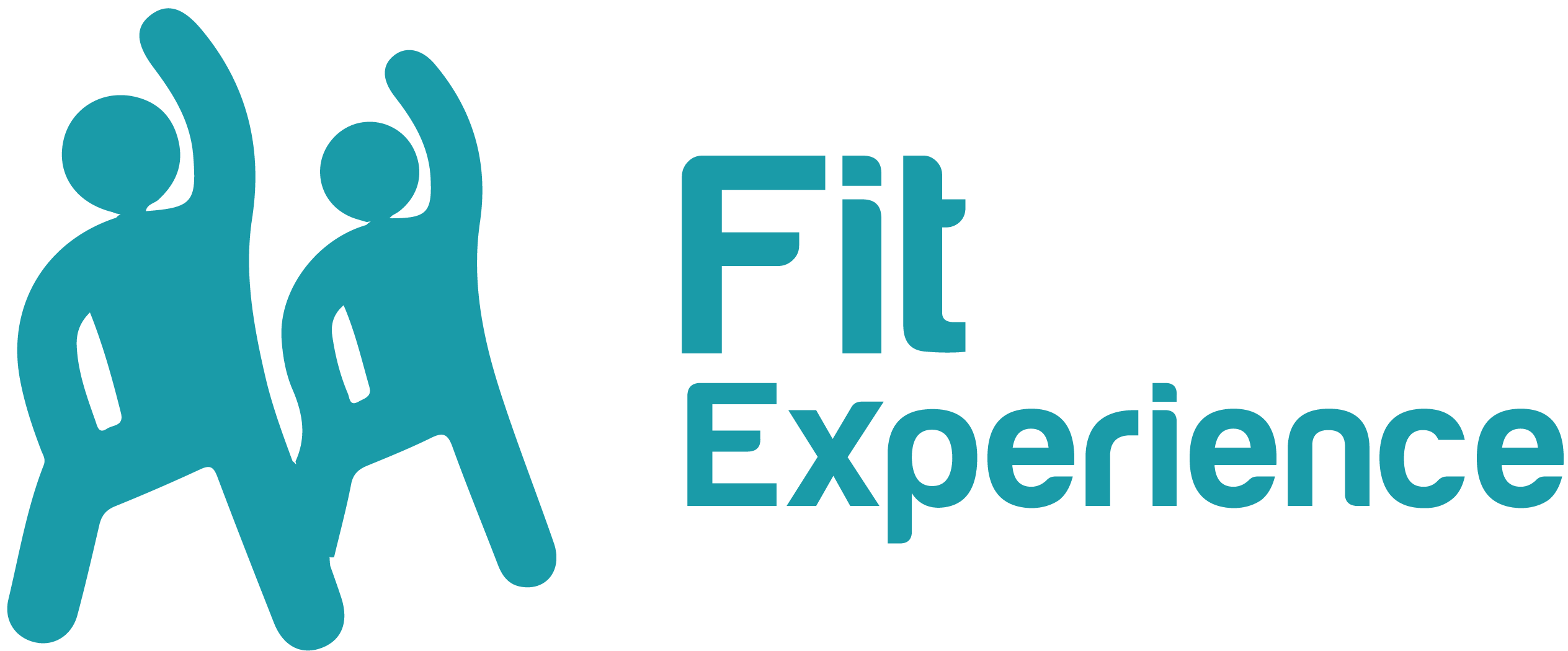 Fit experience ico