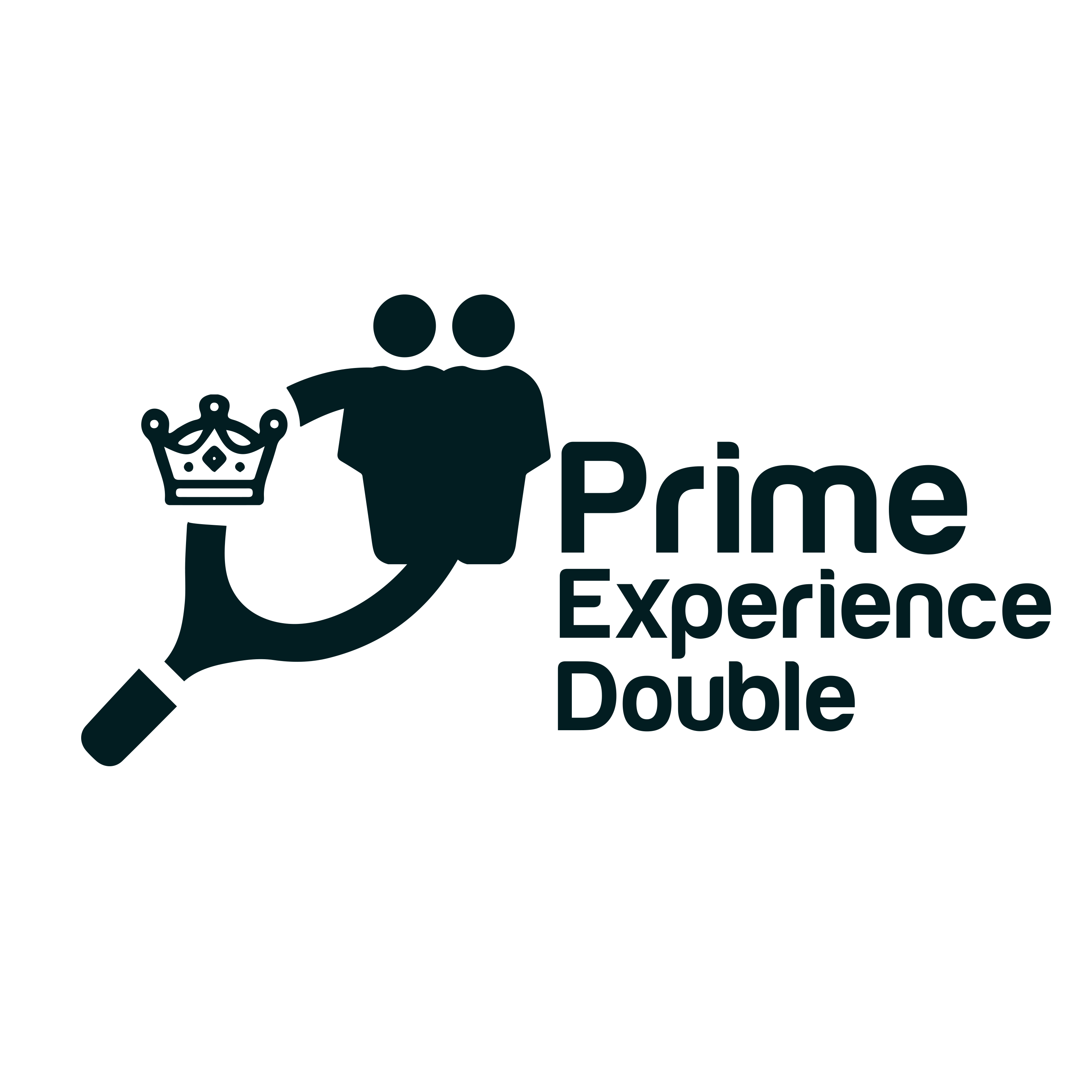 Prime experience double ico